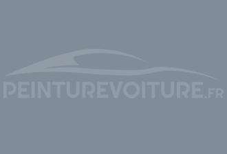 Code peinture Ral Design System 260 60 10 Gris
