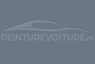 Code peinture Ral Design System 270 50 10 Gris