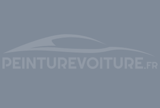 Code peinture Ral Design System 270 60 10 Gris