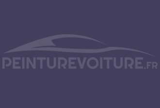 Code peinture Ral Design System 300 30 20 Violet