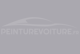 Code peinture Ral Design System 300 70 05 Gris
