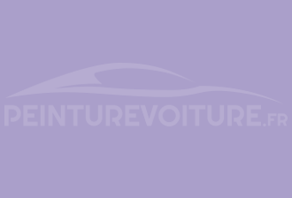 Code peinture Ral Design System 300 70 25 Violet