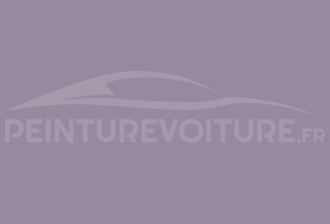 Code peinture Ral Design System 310 60 15 Violet