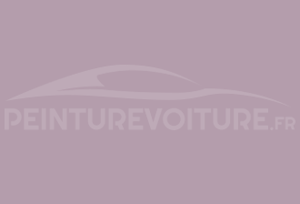 Code peinture Ral Design System 330 70 15 Rose