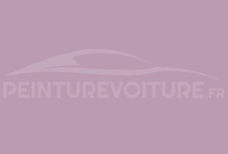 Code peinture Ral Design System 330 70 20 Rose