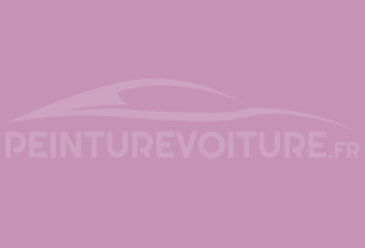 Code peinture Ral Design System 330 70 30 Rose