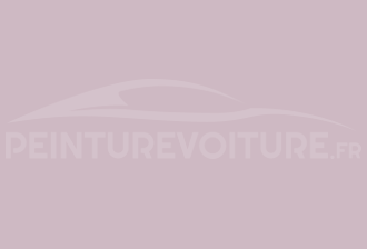 Code peinture Ral Design System 330 80 10 Rose