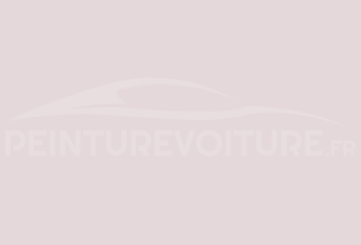 Code peinture Ral Design System 330 90 05 Rose