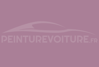 Code peinture Ral Design System 340 60 20 Rouge