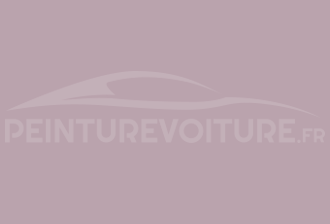 Code peinture Ral Design System 340 70 10 Gris