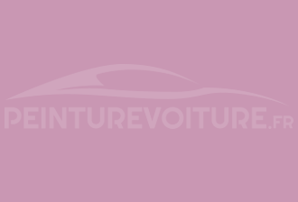 Code peinture Ral Design System 340 70 25 Rouge