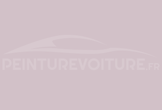 Code peinture Ral Design System 340 80 10 Rose