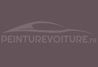 Code peinture Ral Design System 360 40 10 Violet