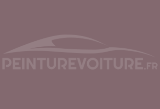 Code peinture Ral Design System 360 50 10 Gris