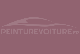 Code peinture Ral Design System 360 50 20 Rouge