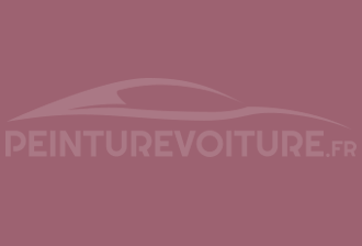 Code peinture Ral Design System 360 50 25 Rouge
