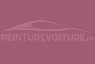 Code peinture Ral Design System 360 50 30 Rouge