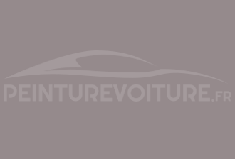 Code peinture Ral Design System 360 60 05 Gris