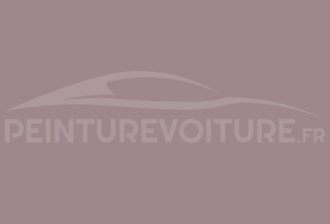 Code peinture Ral Design System 360 60 10 Gris