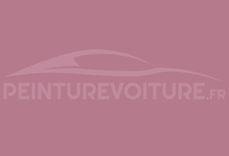 Code peinture Ral Design System 360 60 25 Rose