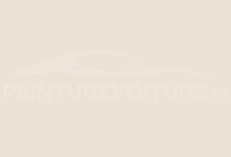 Code peinture Ral Design System 9005 Ivoire