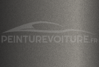 Code peinture Hyundai RAS Silver