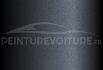 Code peinture Hyundai RG2 Patrol Grey