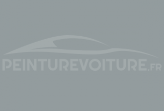Code peinture Hyundai RGY Racing Grey