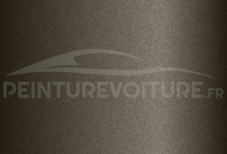 Code peinture Hyundai RI Sand Stone
