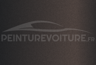 Code peinture Hyundai RN7 Taiga Brown