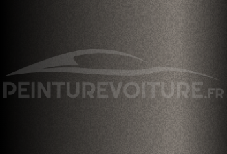 Code peinture Hyundai RN8 Charky Brown
