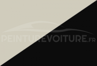 Code peinture Blmc-Rover RPK 243 (nme-nmc) + 48 (pmd)