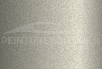 Code peinture Hyundai RS2 Cyber Sage