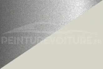 Code peinture Blmc-Rover RSJ 421 (mme) + 684 (mmn)