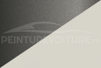 Code peinture Blmc-Rover RSL 655 (nmn) + 684 (mmn)