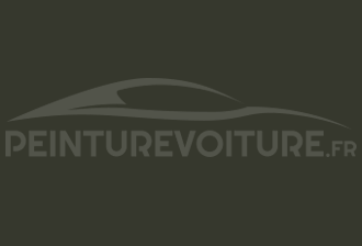 Code peinture Ford RSS Schwarzoliv