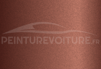 Code peinture Nissan RT1 Coffee
