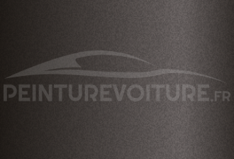 Code peinture Hyundai RW8 Steel Brown