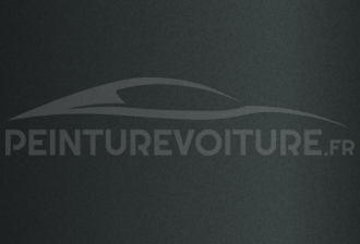 Code peinture Hyundai S10  Granit/grey