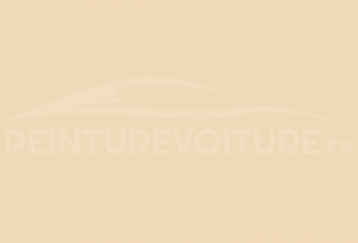 Code peinture Seat S1B Beige Taxi