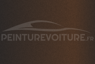 Code peinture Hyundai S1B Sedona Brown