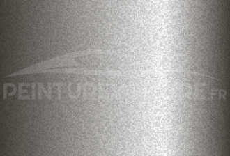 Code peinture Daihatsu S20 Warm Silver