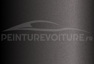 Code peinture Toyota S21 Grayish Sepia Met