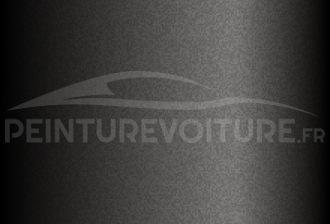 Code peinture Hyundai S2G Young Gun Mat