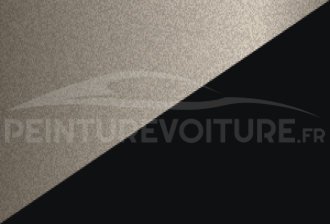 Code peinture Mitsubishi S2X S55 + X85