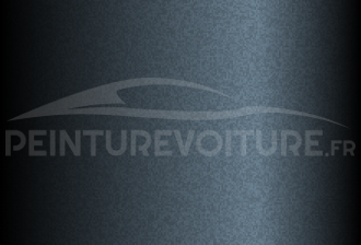 Code peinture Daihatsu S30 Gray