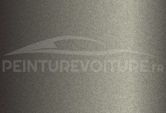 Code peinture Hyundai S5N Fire Gold Ash