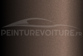 Code peinture Hyundai S9C Shade Bronze
