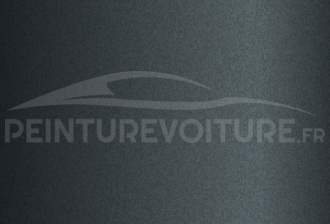 Code peinture Hyundai S9G Shale Grey