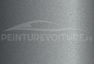 Code peinture Hyundai S9V Iron Silver